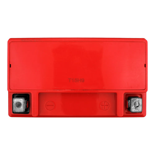Banshee Replacement for Yuasa YTX14L-BS Battery 4-Year Warranty