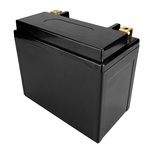 Banshee LiFEPO4 Replacement for YTX12-BS High Performance Maintenance Free Sealed Motorcycle Battery