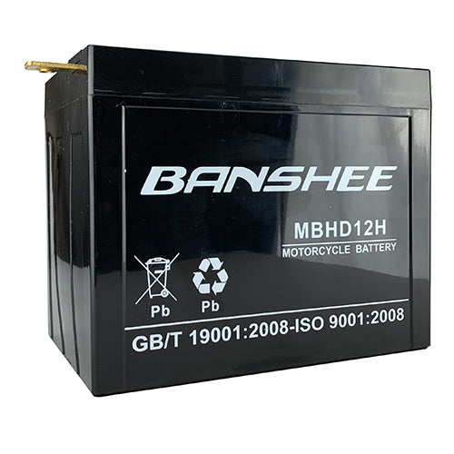 Banshee Replacement for Yuasa Battery, YUAM22H12 (YHD-12H)