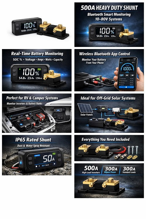Smart battery monitor with shunt for 12V 24V 48V systems