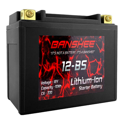 LiFEPO4 12-BS Sealed Motorcycle Starter Battery