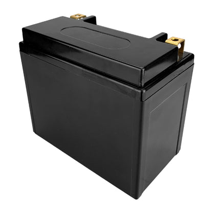 Banshee LiFEPO4 Replacement for YTX12-BS High Performance Maintenance Free Sealed Motorcycle Battery