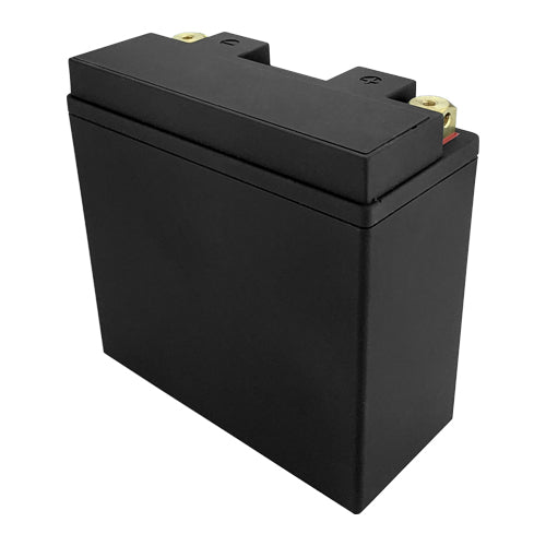 LiFEPO4 14B-BS Sealed Motorcycle Battery