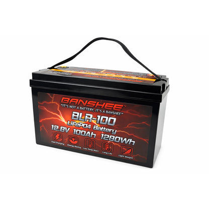 12V 100Ah LiFePO4 Lithium Battery Deep Cycles RV Marine Trolling Motors Off-grid