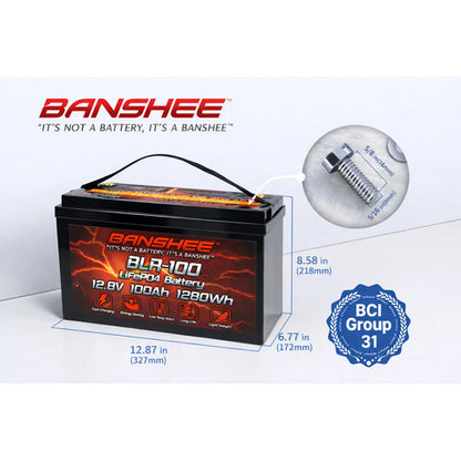 12V 100Ah LiFePO4 Lithium Battery Deep Cycles RV Marine Trolling Motors Off-grid