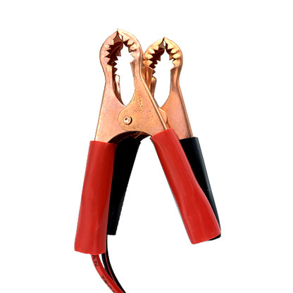 Banshee Lithium Ion Battery Charger for Motorcycle Battery